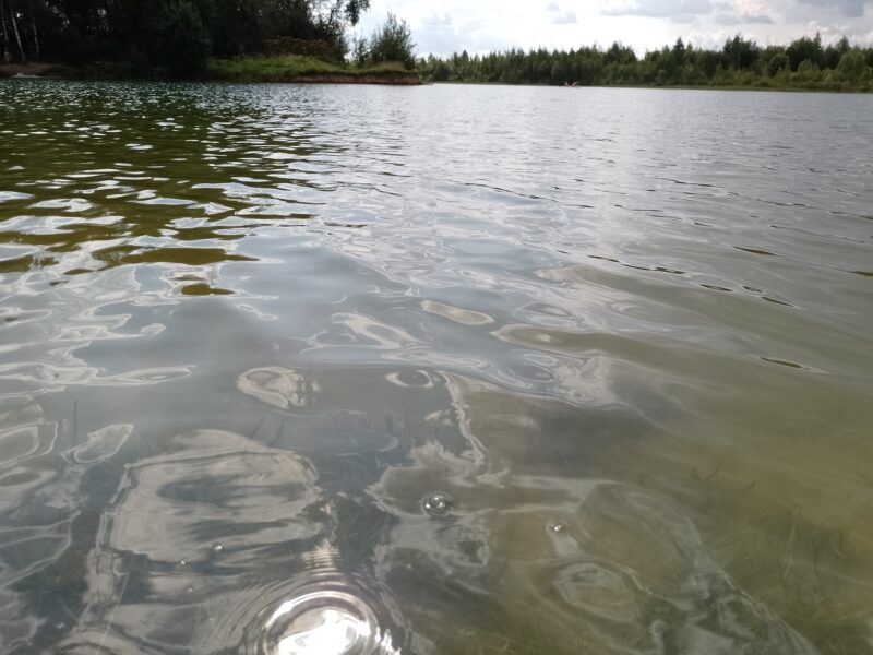 Автодорога (лыжероллеры) Н Горбово — Лызлово, состояние на 16 августа 2025 по отзыву, фото 3. 